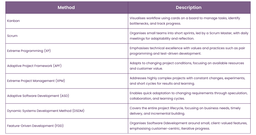 Agile Methodologies examples 